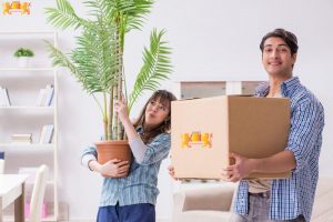 The Best Moving Services Moving Feedback