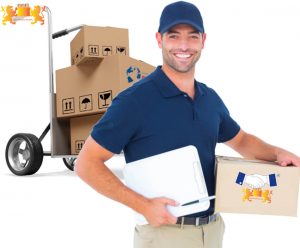 packers and movers in sialkot 1